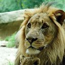 ���� Svetlana, ������ - ��������� 8 ������� 2014 � ������ ���� ����������