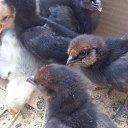 ��� ���� � ����� �������.... �� ������� ���� ����������