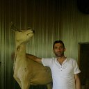 ���� Mehrani, ����, 42 ���� - ��������� 24 ��� 2014 � ������ ���� ����������