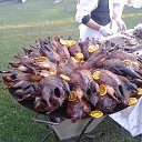 ���� Hakan Tolga, �������, 50 ��� - ��������� 13 ��� 2014 � ������ ���� ����������