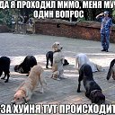 ���� Bang, �����������, 44 ���� - ��������� 28 ������ 2014 � ������ ������