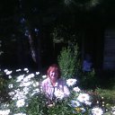 �� ����.03.08.14 �� ������� ���� ����������