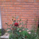 ���� ������, �����, 58 ��� - ��������� 16 ���� 2014 � ������ ���� ����������