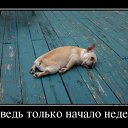 ���� �������, ������-��-��� - ��������� 19 ����� 2014 � ������ ����-��