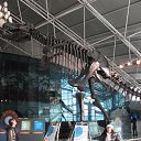 ���� Iren M., ���������, 55 ��� - ��������� 29 ������ 2014 � ������ ���� ����������