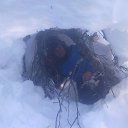 ���� ���������, �����������, 50 ��� - ��������� 8 ��� 2014 � ������ ������ ��������