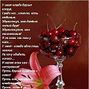 ���� �������, ������������ - ��������� 2 ���� 2014 � ������ ������ ��������