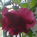 ���� �������, ������ - ��������� 19 ��� 2014 � ������ ���� ����������