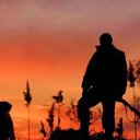 ���� E������, �����������, 41 ��� - ��������� 1 ��� 2014 � ������ ���� ����������