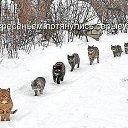 ���� O, ������ - ��������� 11 ���� 2014 � ������ ������ ��������