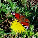 ���� �����, �����, 64 ���� - ��������� 24 ������ 2014 � ������ ������� ��������)))�