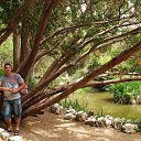 ���� ��������, �����-���������, 54 ���� - ��������� 15 ���� 2014 � ������ ���� ����������