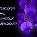 ���� ���������, ������, 38 ��� - ��������� 17 ����� 2014 � ������ ������ ��������