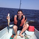 ���� ���������, �����-���������, 39 ��� - ��������� 17 ���� 2014 � ������ ���� ����������