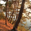 ��� ���������� ���������� �������. �� ������� ����� 2014�