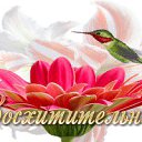 ���� ����, ����, 45 ��� - ��������� 3 ������� 2014