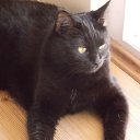 ��� ������! �� ������� ���� ����������