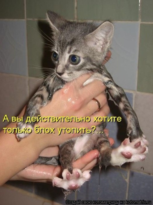   - 25  2014  20:09