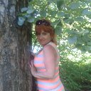 � ������� ������...2014... �� ������� ���� ����������