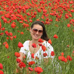 ���� ����, �����������, 47 ��� - ��������� 4 ���� 2014