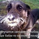 ���� ���� ������, ������, 59 ��� - ��������� 17 ������� 2014 � ������ ������ ��������