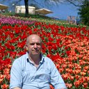 ���� ���������, ����, 53 ���� - ��������� 1 ��� 2014 � ������ ���� ����������