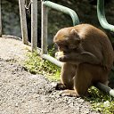 ���� ����, ����, 40 ��� - ��������� 14 ������ 2014 � ������ ��� �����������