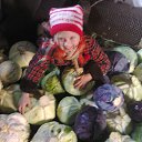 ����������������� �� ������� ���� ����������