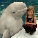 ���� ������, ������ - ��������� 11 ���� 2014 � ������ ������ ��������