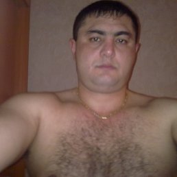 ���� ����, ��������, 48 ��� - ��������� 24 ������ 2014