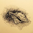 ���� ������, �����-���������, 51 ��� - ��������� 13 ������� 2014 � ������ �������