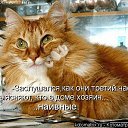 ���� �������, ������, 44 ���� - ��������� 23 ����� 2014 � ������ ���� ����� � �������������� ������-������