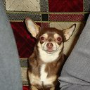 ���� ���������, ������, 56 ��� - ��������� 28 ������ 2014 � ������ ���� ����������