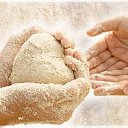 ���� �����, �����-���������, 47 ��� - ��������� 8 ��� 2014 � ������ ������ ��������