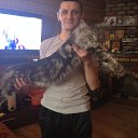 ���� �������, ������, 43 ���� - ��������� 29 ������ 2014