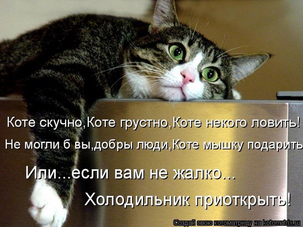   :3 - 20  2014  10:39