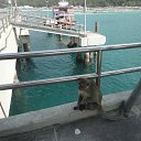  ,  -  27  2014    2014