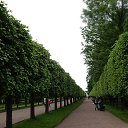 ���� ����, �����-���������, 57 ��� - ��������� 2 ���� 2014 � ������ ��������� 1.06.14�