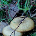 ���� �����, �����, 64 ���� - ��������� 6 ��� 2014 � ������ ������������ ������