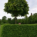 ���� �������, ������, 37 ��� - ��������� 10 ���� 2014 � ������ ���� ����������