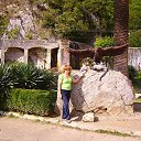 ���� �����, ������������ - ��������� 20 ��� 2014