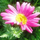 ���� ������, ����� - ��������� 16 ���� 2014 � ������ ������ ���