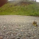 ���� �����, �������, 31 ��� - ��������� 19 ������� 2014 � ������ ���� ����������