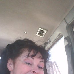 ��������, �����, 51 ���