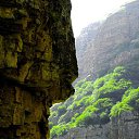 ���� Ali, ������ ��������, 62 ���� - ��������� 9 ��� 2014 � ������ ���� ����������