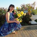 ���� �����, ������������ - ��������� 29 ���� 2014 � ������ ���� ����������