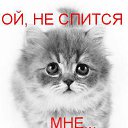 ���� ���������, ������, 38 ��� - ��������� 2 ������ 2014 � ������ ������ ��������