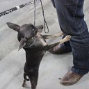 �������,� �������� �����!������� ������ �������� ������ �� ������� ���� ����������