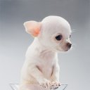 ���� �������, ������������, 57 ��� - ��������� 9 ������� 2014 � ������ ������ ��������