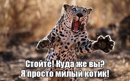     <a href=